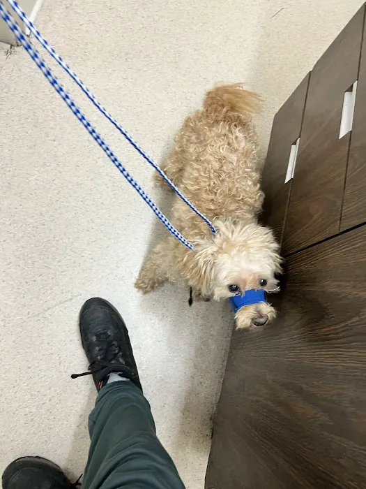 Oxnard Veterinary Hospital 6