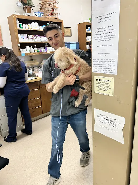 Oxnard Veterinary Hospital 5
