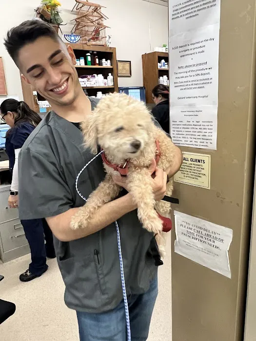 Oxnard Veterinary Hospital 2