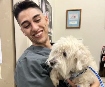 Oxnard Veterinary Hospital