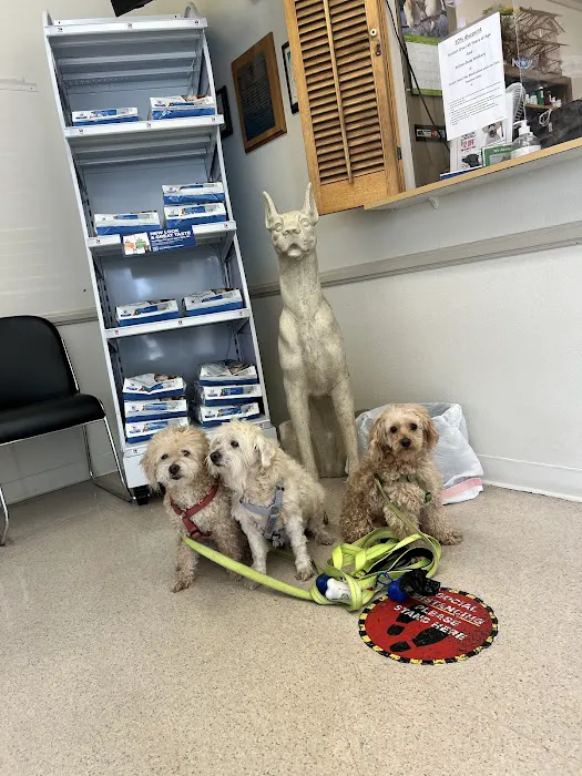 Oxnard Veterinary Hospital 4