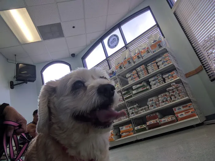 Marina Animal Hospital 7
