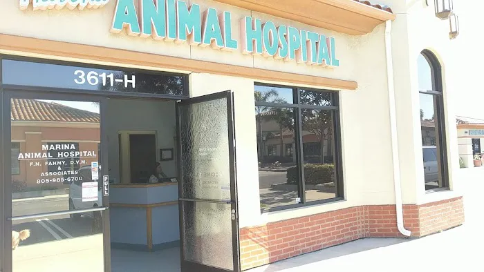 Marina Animal Hospital 10