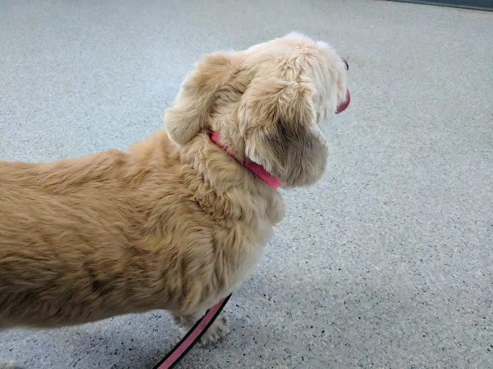 Marina Animal Hospital 5