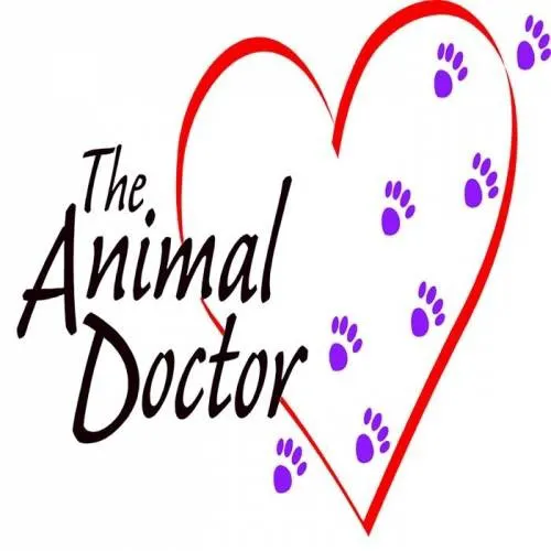 The Animal Doctor 6