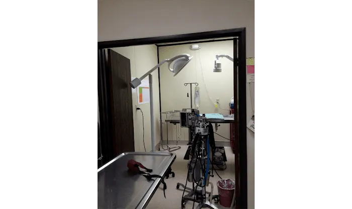 East Ventura Animal Hospital 7