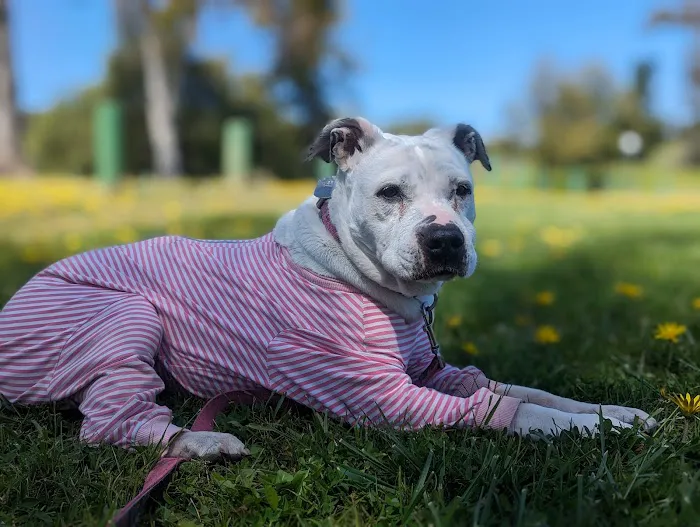 Horizon Veterinary Specialists 6