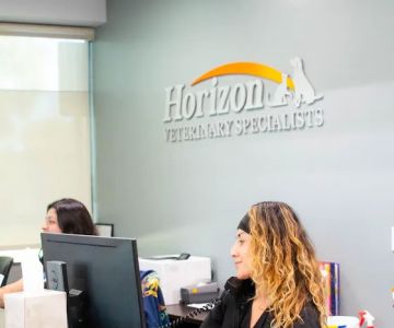 Horizon Veterinary Specialists