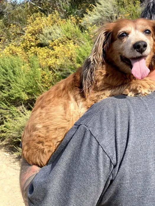 Horizon Veterinary Specialists 3
