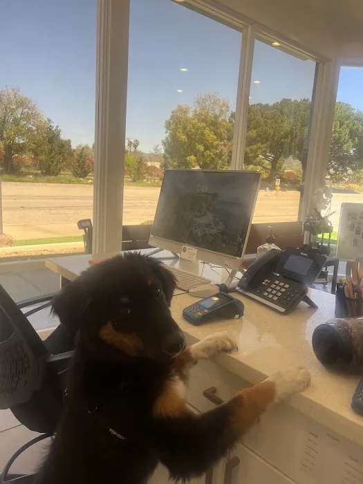 Mountain View Animal Hospital 1