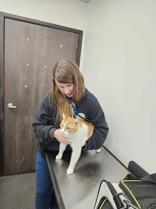 Mountain View Animal Hospital 3