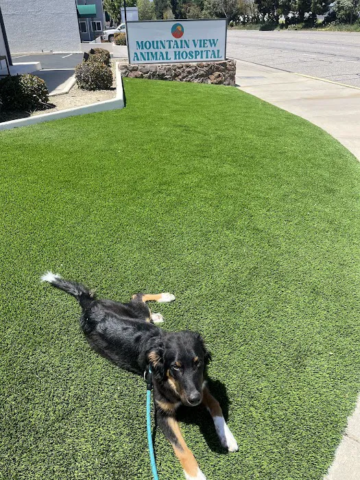 Mountain View Animal Hospital 7