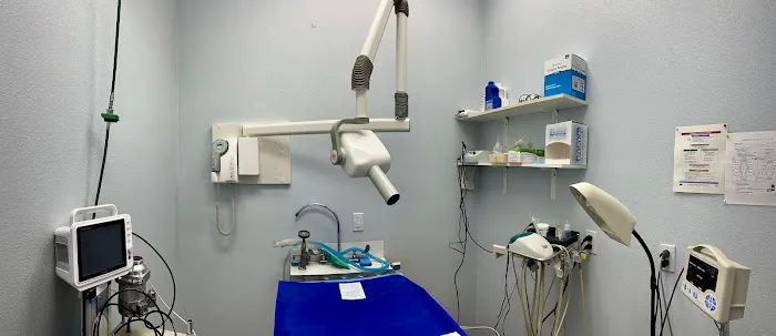 American Veterinary Hospital of Simi Valley 10