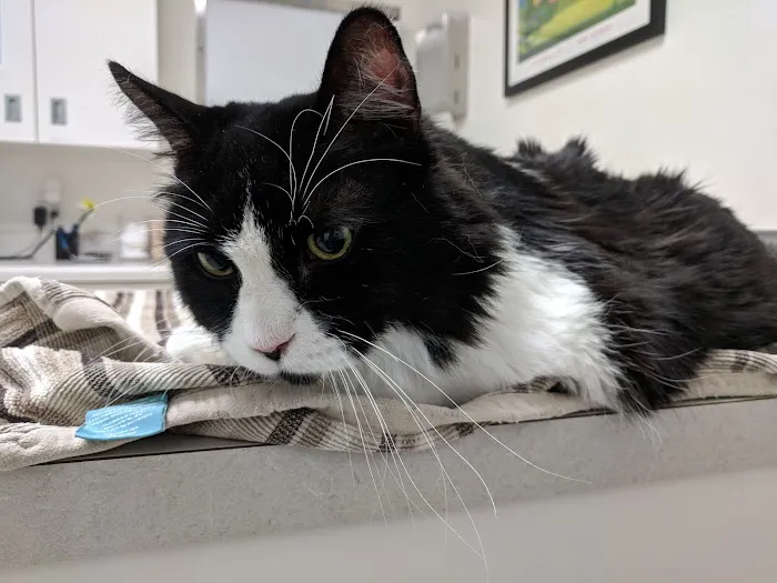 Park Animal Hospital 8