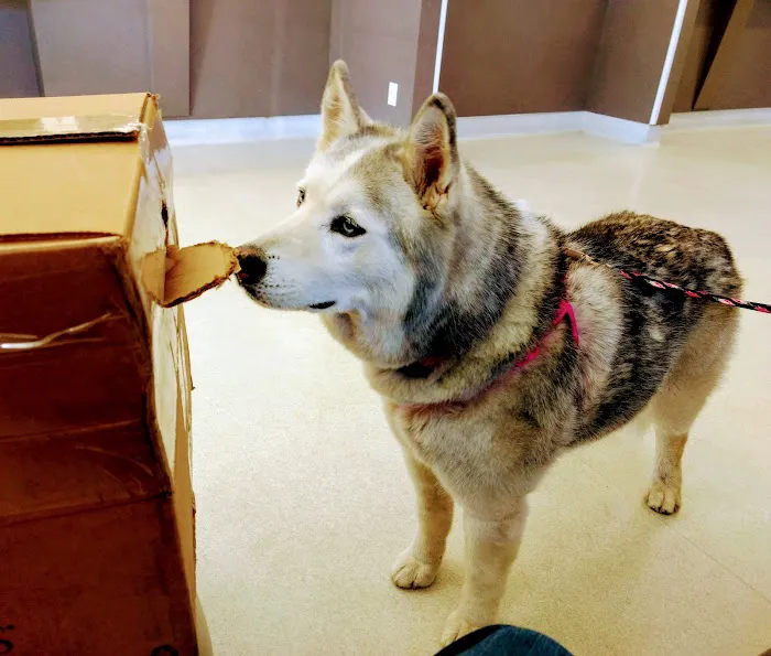 Park Animal Hospital 10