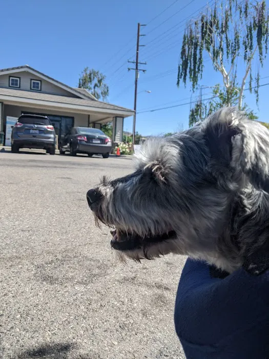 Park Animal Hospital 9