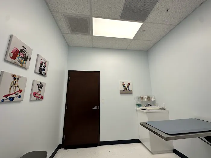 Simi Valley Animal Urgent Care 1