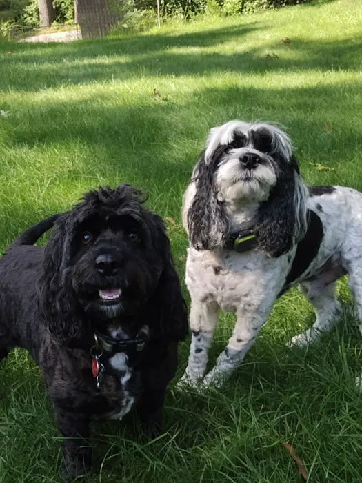 Banfield Pet Hospital 7