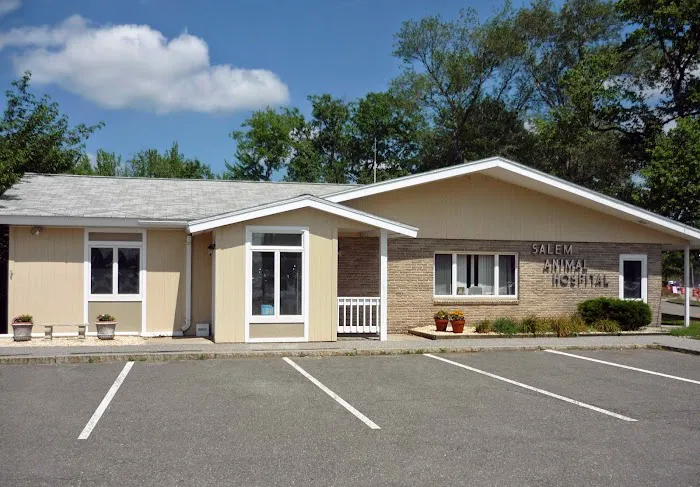 Salem Animal Hospital 9