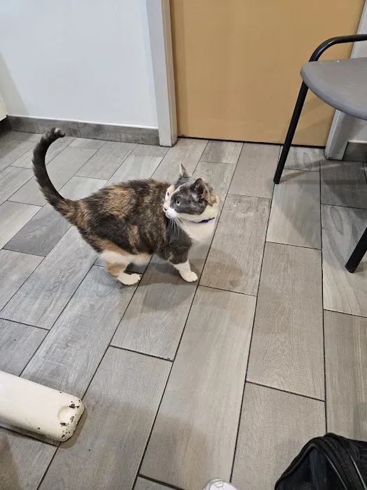 Salem Animal Hospital 8