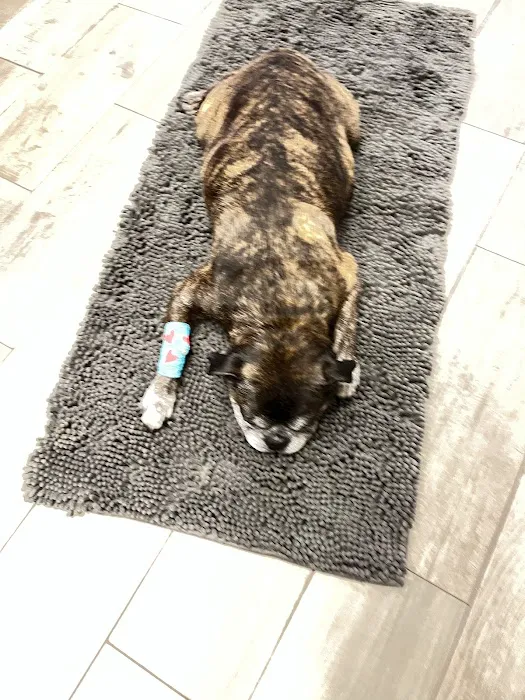 Salem Animal Hospital 6