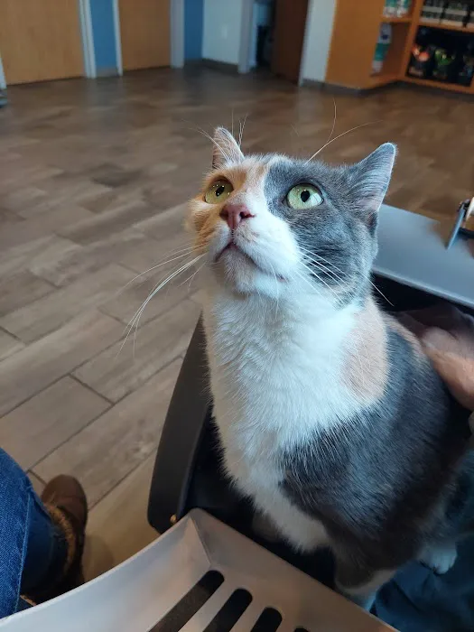 Salem Animal Hospital 5