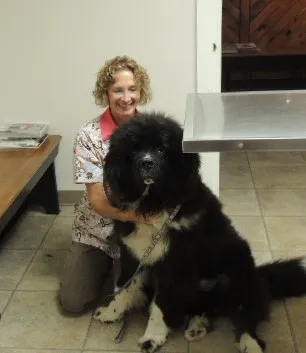 Edgefield Veterinary Hospital, LLC 10
