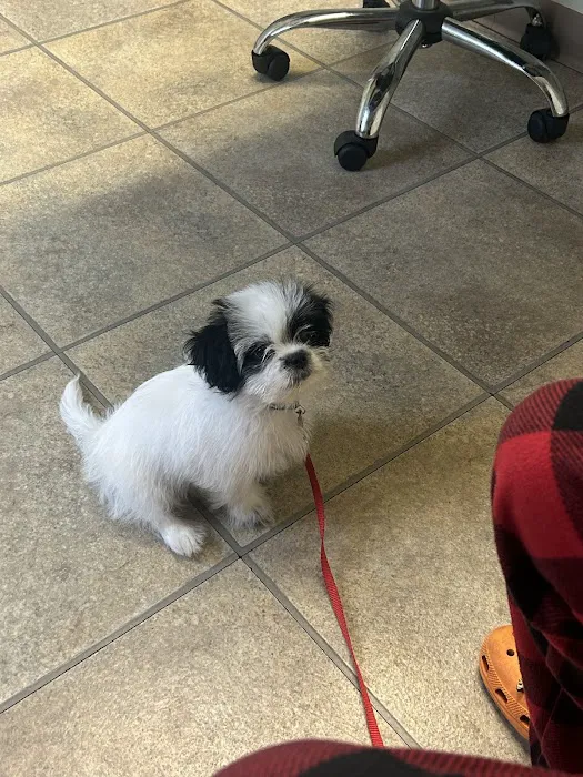 Edgefield Veterinary Hospital, LLC 5