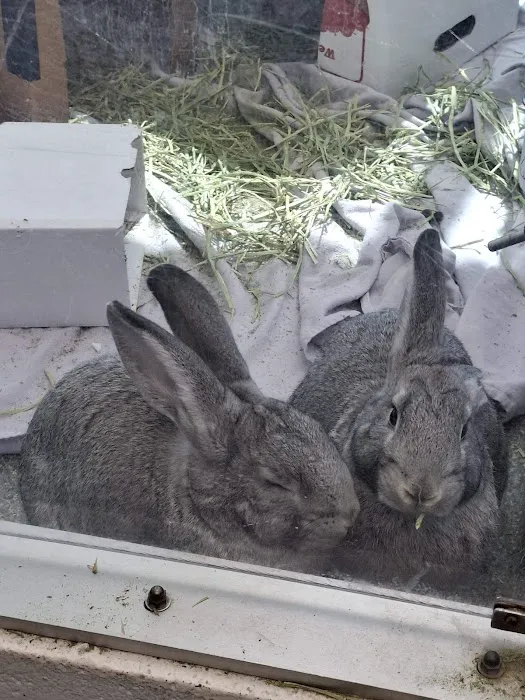 Noble Family Animal Care & Adoption Center 2