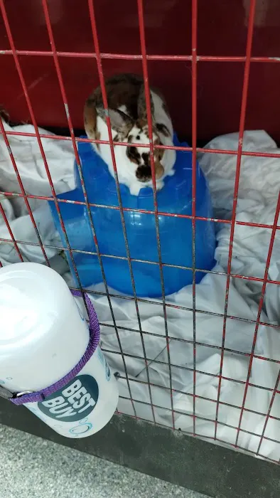 Noble Family Animal Care & Adoption Center 1