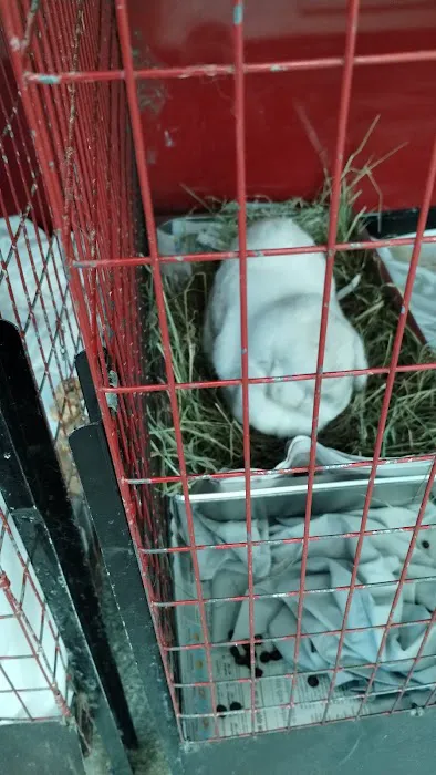 Noble Family Animal Care & Adoption Center 4