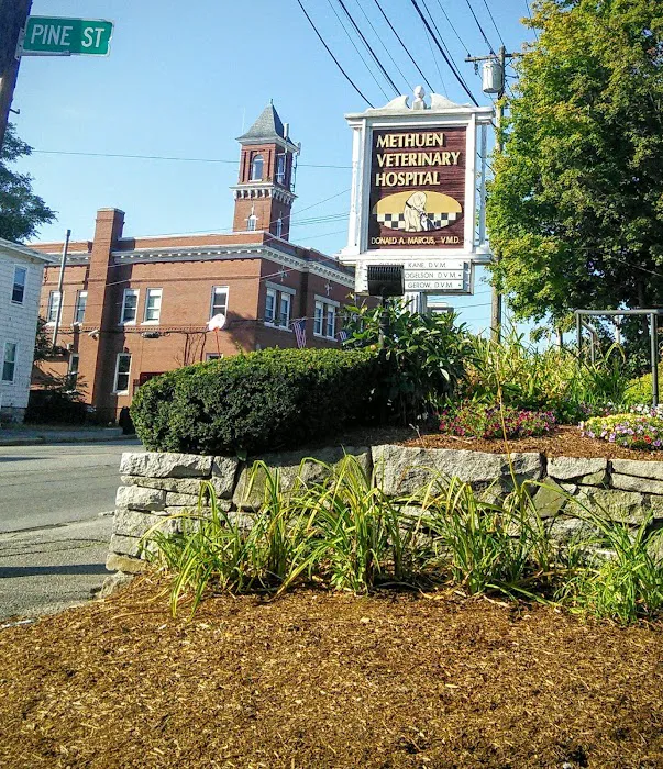 Methuen Veterinary Hospital 5