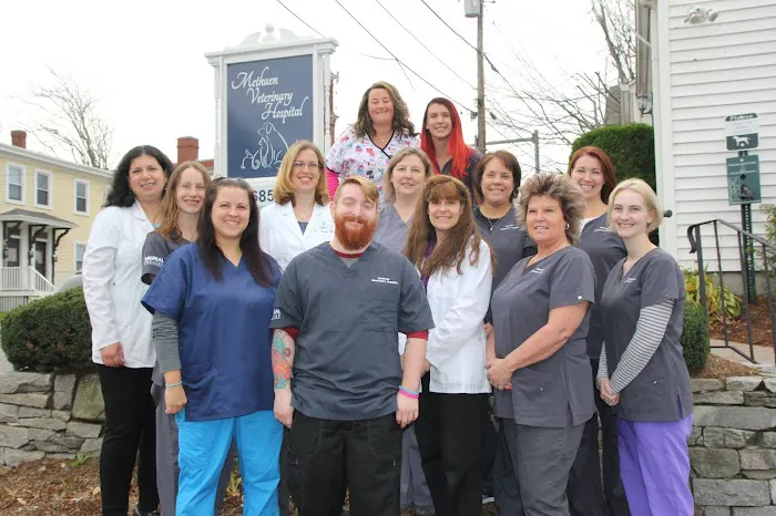 Methuen Veterinary Hospital 3