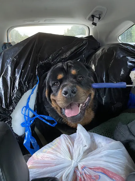 Methuen Veterinary Hospital 7