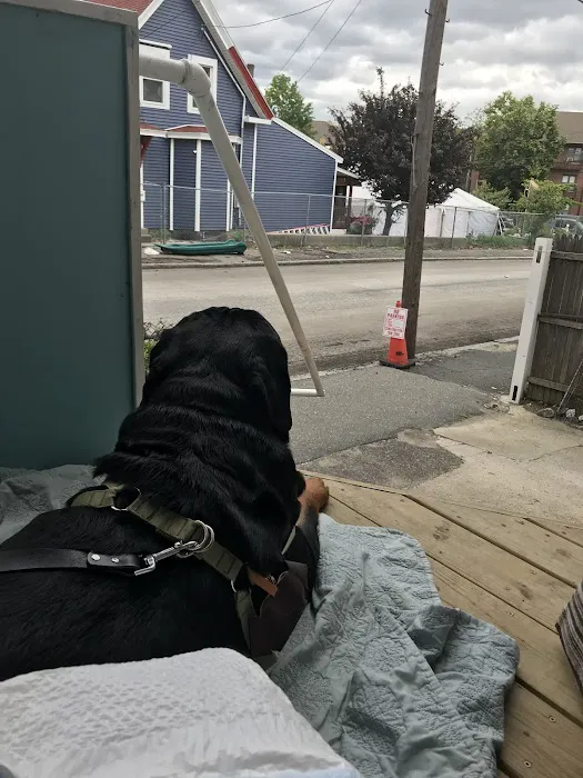 Methuen Veterinary Hospital 8