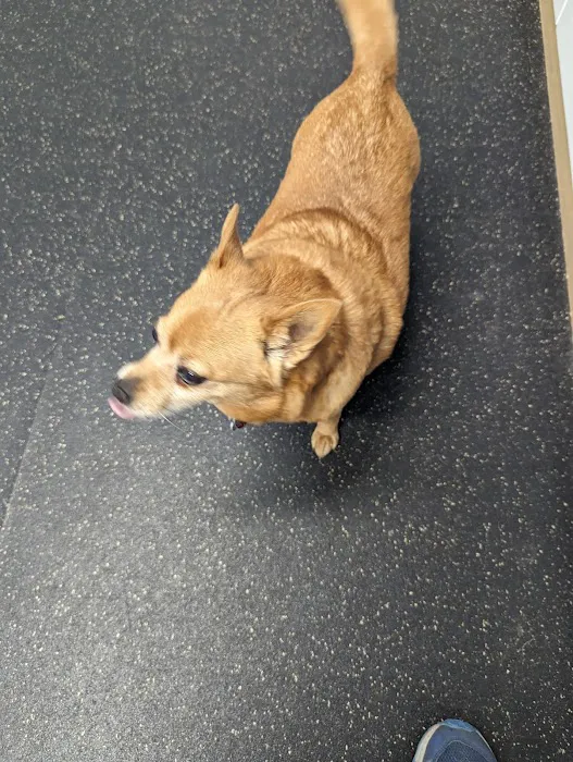 Northwood Veterinary Hospital 6