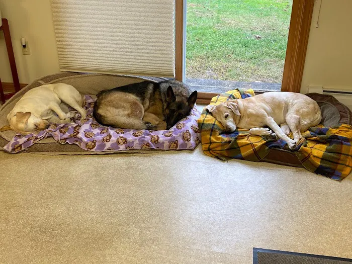 Winter Harbor Veterinary Hospital 4