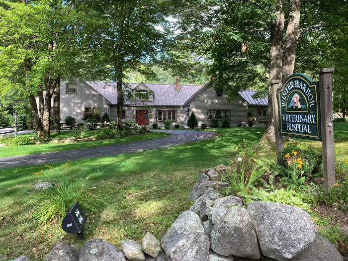 Winter Harbor Veterinary Hospital 2