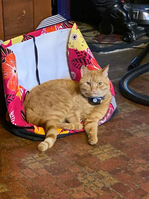 Winter Harbor Veterinary Hospital 6