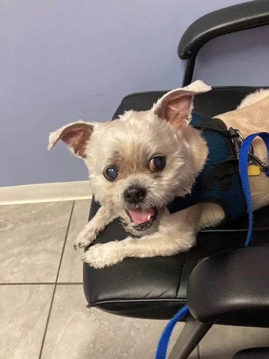 Winter Harbor Veterinary Hospital 8
