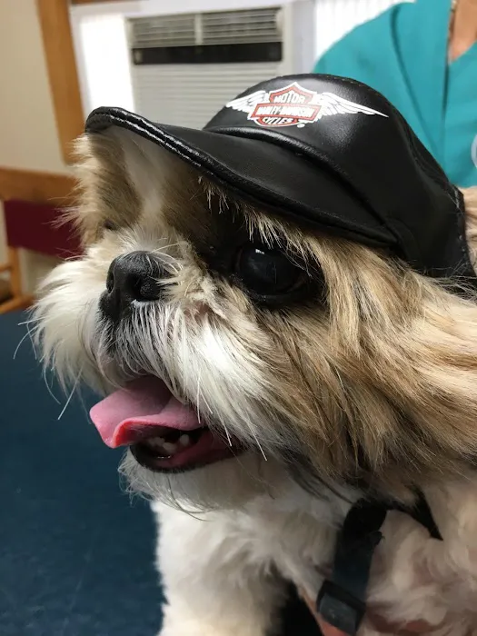 Winter Harbor Veterinary Hospital 5