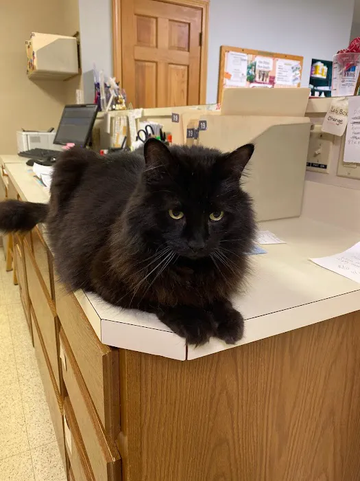 Winter Harbor Veterinary Hospital 10