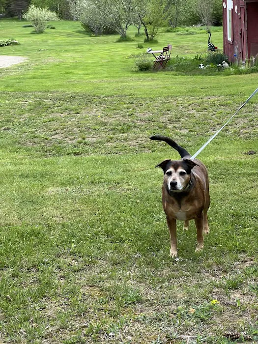 Meadow Pond Animal Hospital 3