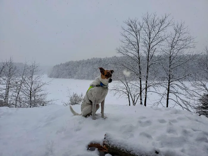 Meadow Pond Animal Hospital 6