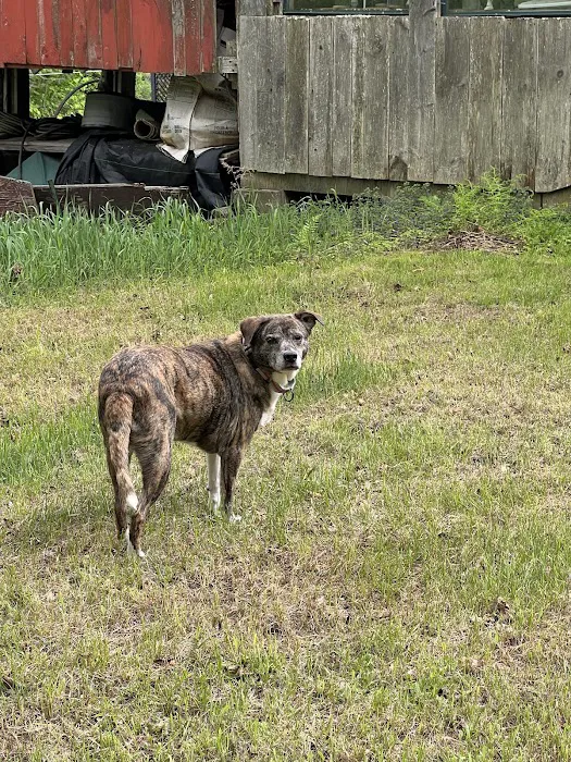 Meadow Pond Animal Hospital 8