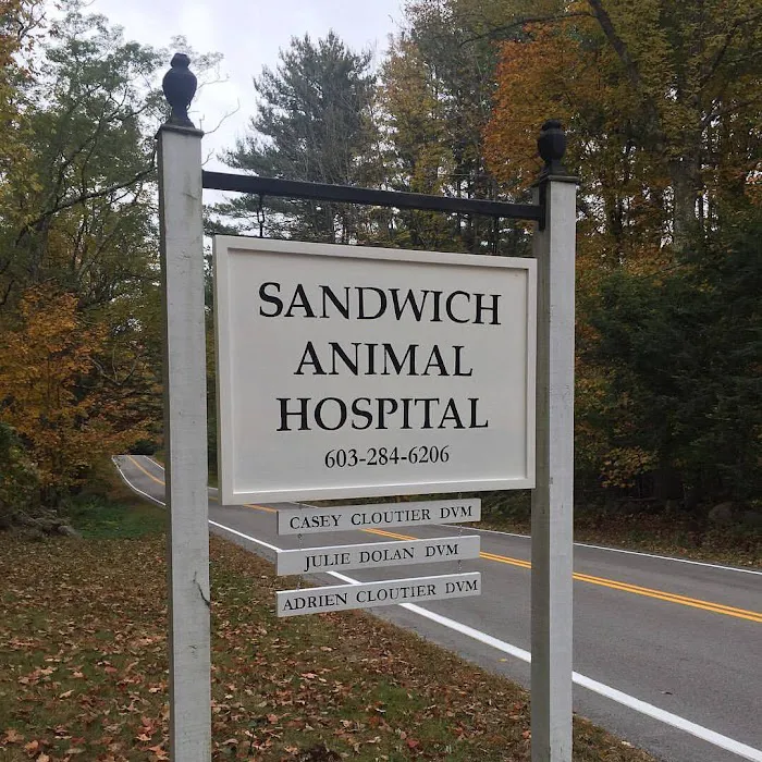 Sandwich Animal Hospital 2