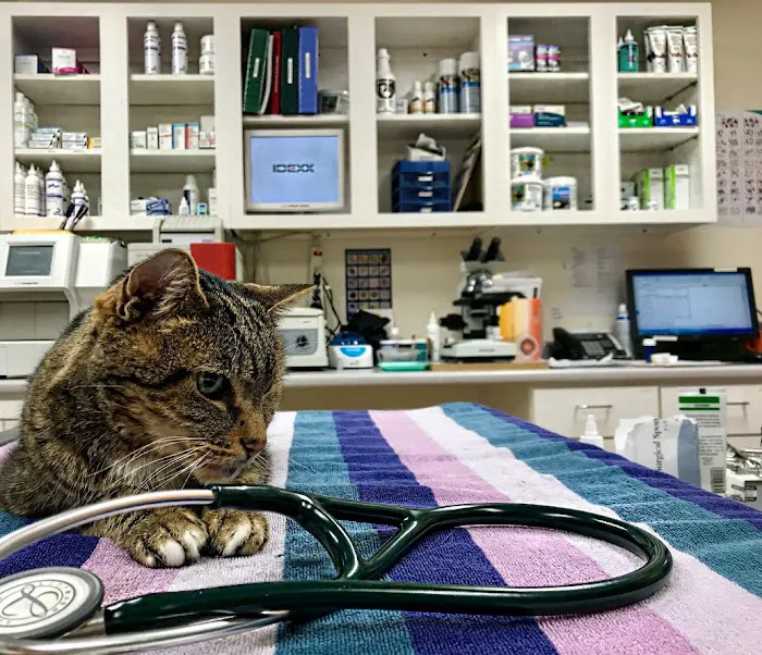 Linwood Veterinary Clinic 3