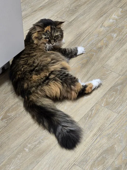 Linwood Veterinary Clinic 7