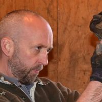 MacPhail Equine Dentistry ico