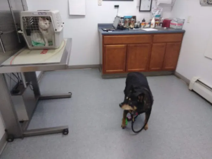 West River Valley Veterinary Service 8